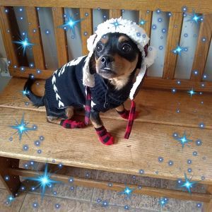 Meet your Posher, Melanie